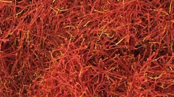 Growing Saffron in Southern Hemisphere Markets